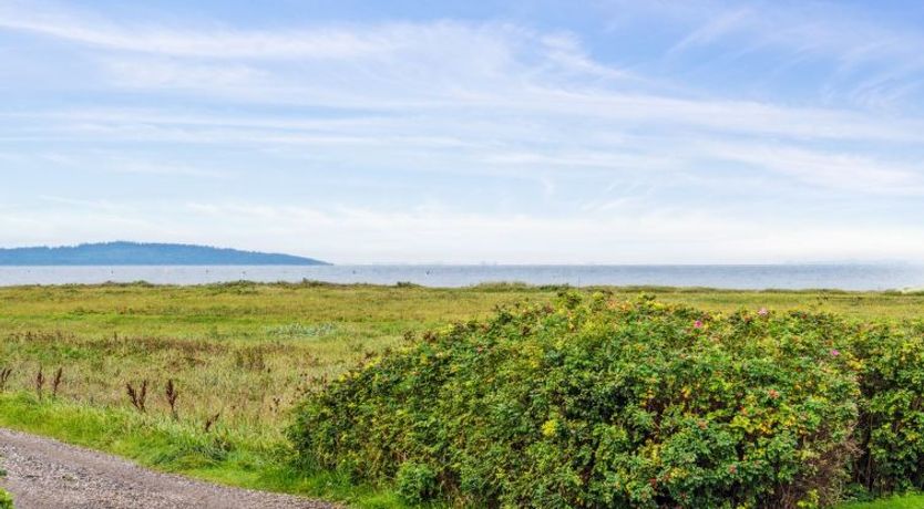 Photo of "Benni" - 75m to the fjord