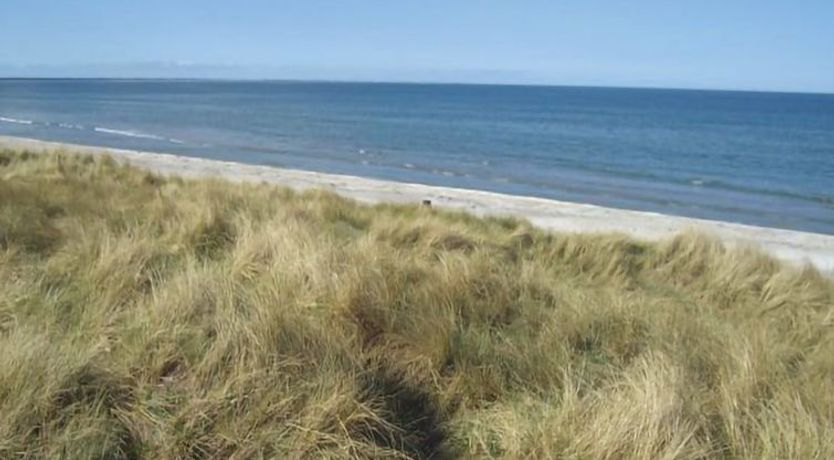 Photo of "Frithbjorn" - 900m from the sea