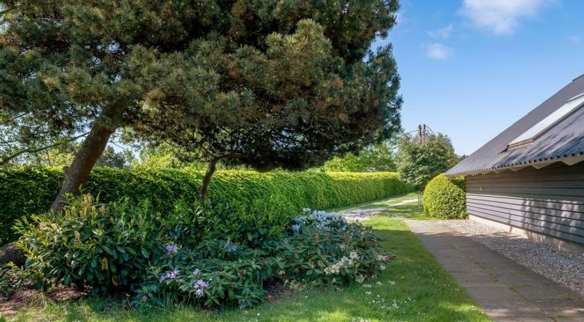 Photo of "Tytti" - 300m from the sea