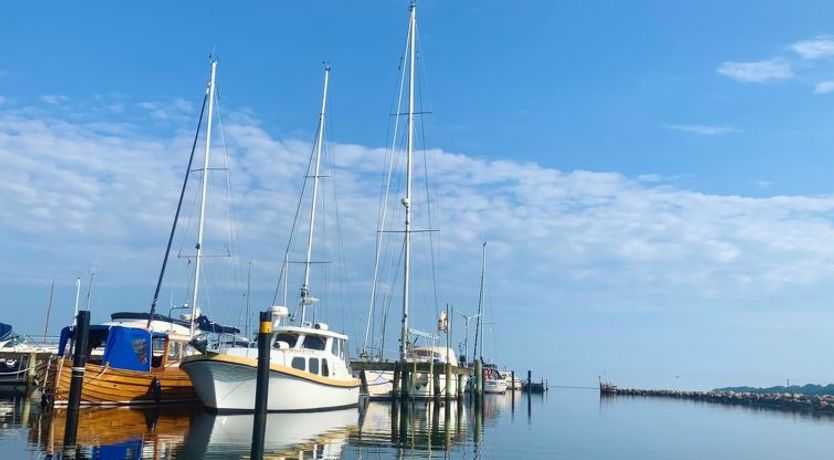 Photo of "Iadrik" - 85m to the fjord