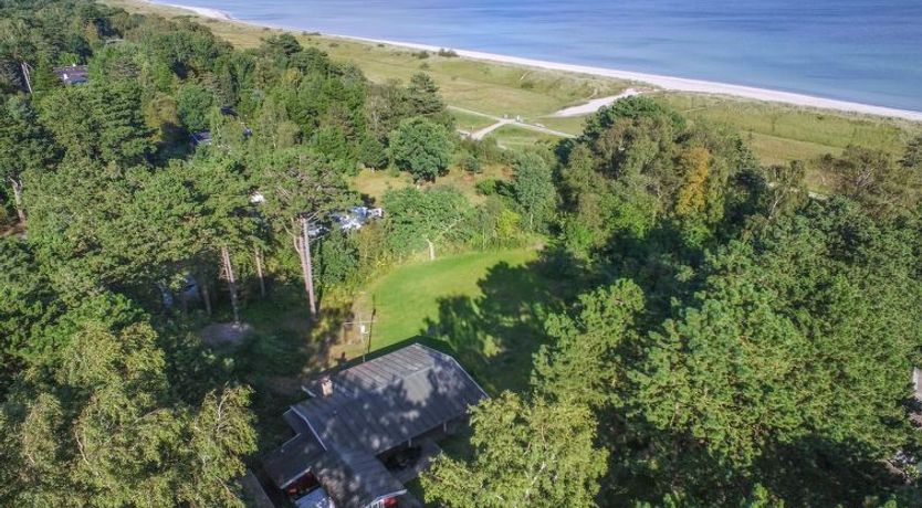 Photo of "Borica" - 100m from the sea