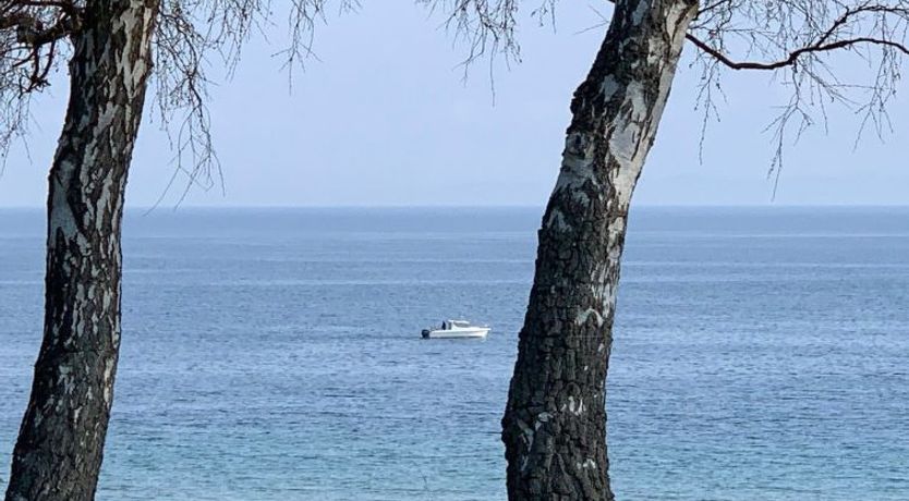 Photo of "Vanta" - 10m from the sea