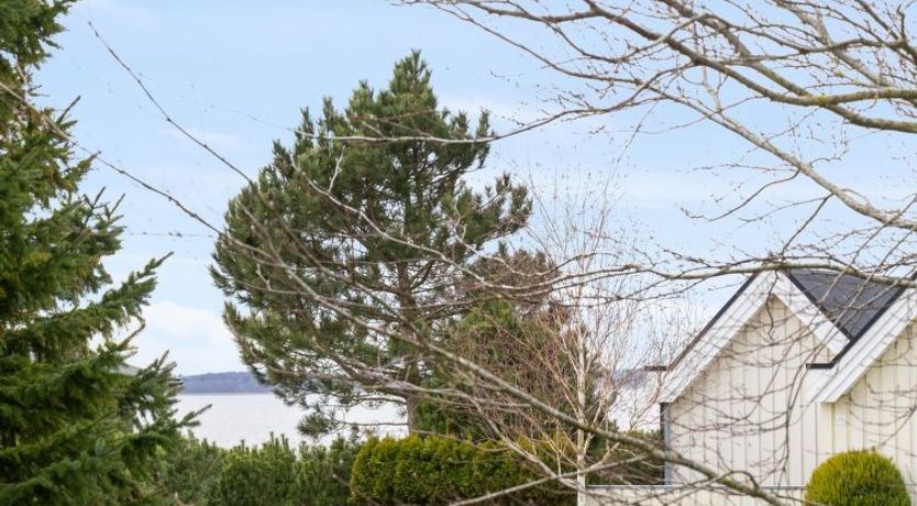 Photo of "Ama" - 200m to the fjord