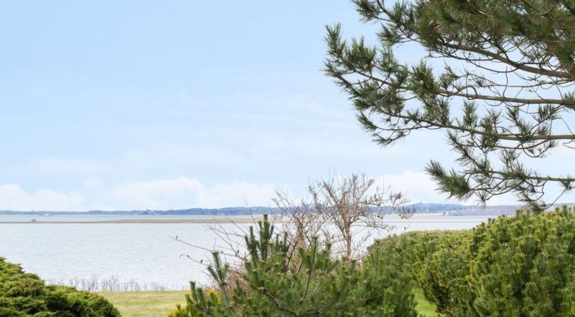 Photo of "Ama" - 200m to the fjord