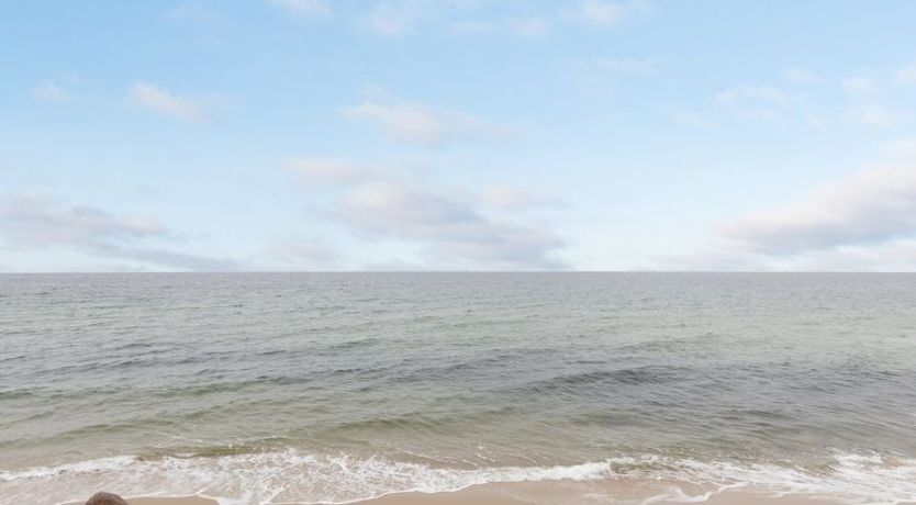 Photo of "Haiko" - 250m from the sea