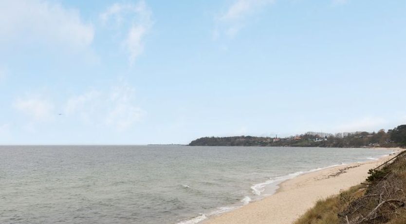 Photo of "Haiko" - 250m from the sea