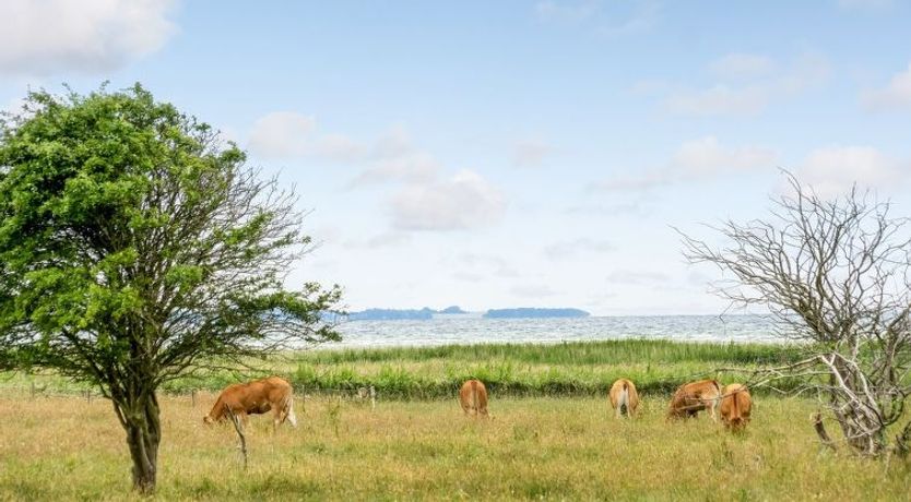Photo of "Bernadete" - 50m to the fjord