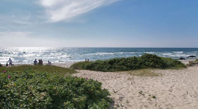 Photo of "Yrjö" - 1km from the sea