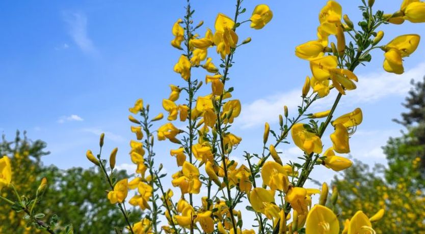 Photo of "Ajla" - 500m from the sea