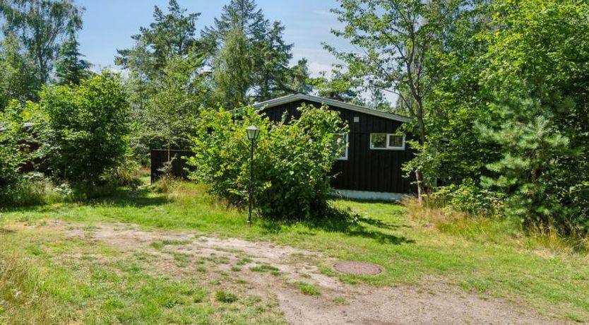 Photo of "Gullmaj" - 200m from the sea