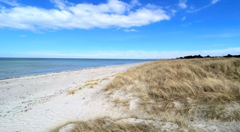 Photo of "Miljanka" - 175m from the sea