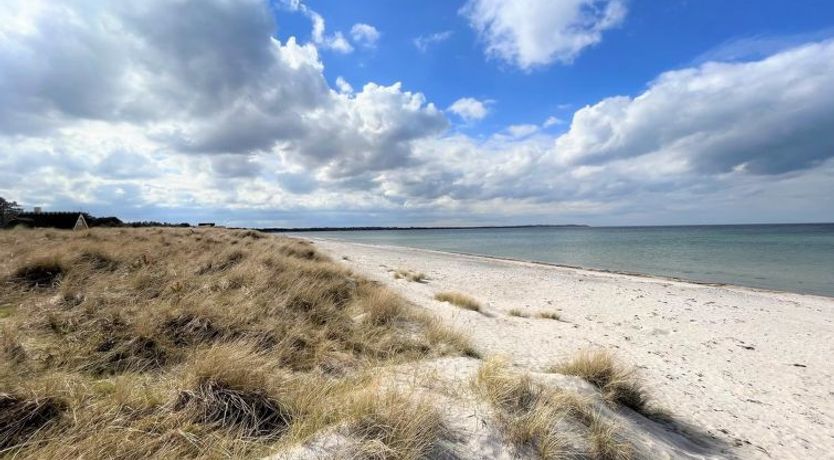 Photo of "Miljanka" - 175m from the sea