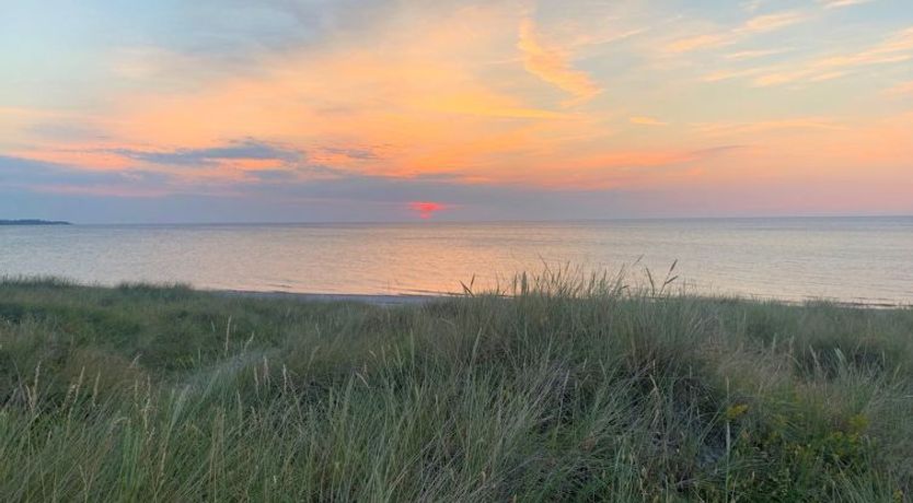 Photo of "Miljanka" - 175m from the sea