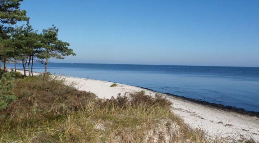 Photo of "Elsamaria" - 400m from the sea