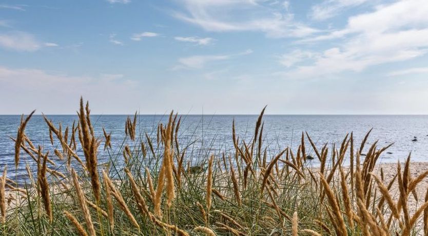 Photo of "Solfred" - 200m from the sea