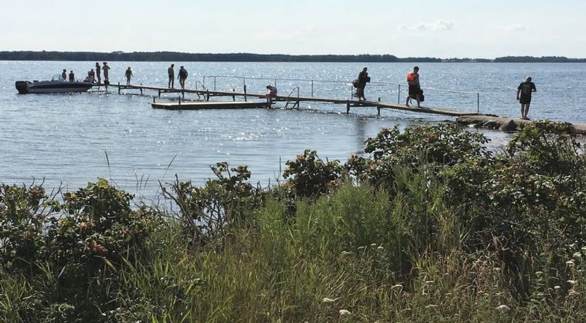 Photo of "Eddy" - 50m from the sea