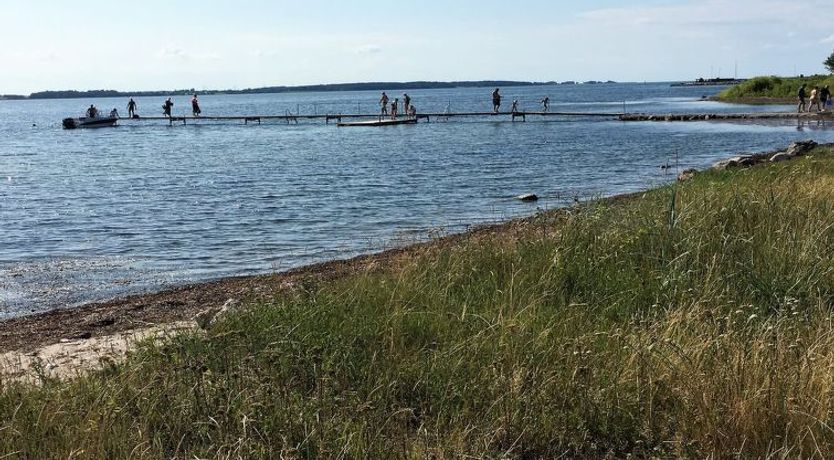 Photo of "Eddy" - 50m from the sea