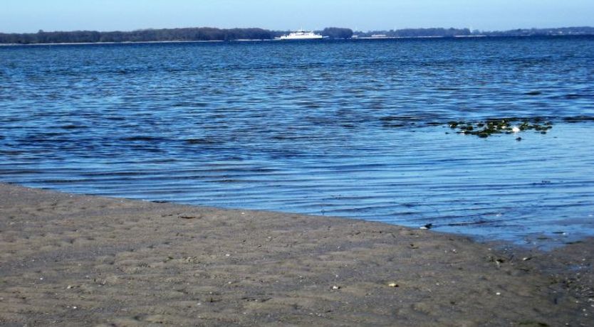 Photo of "Eddy" - 50m from the sea