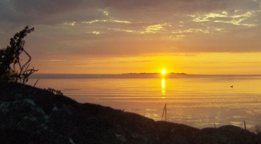 Photo of "Eddy" - 50m from the sea