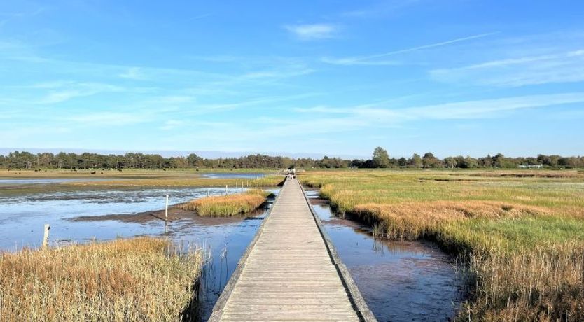 Photo of "Zezilie" - 500m from the sea