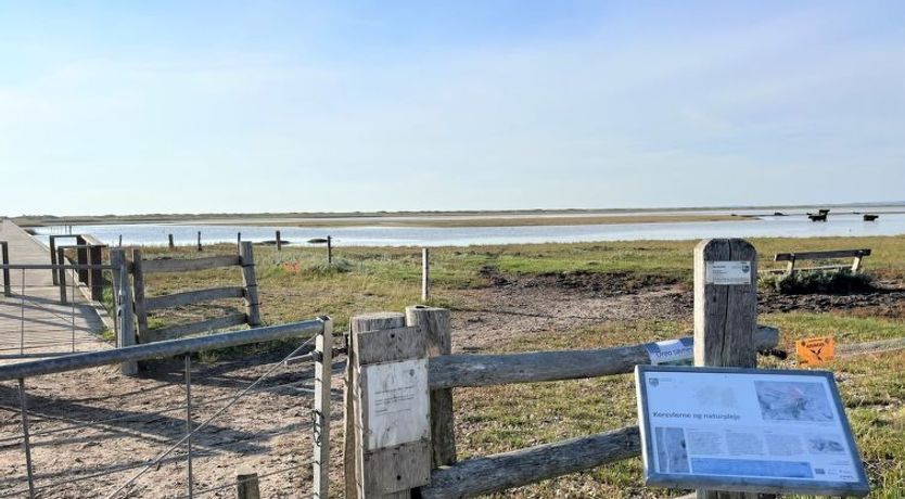 Photo of "Zezilie" - 500m from the sea