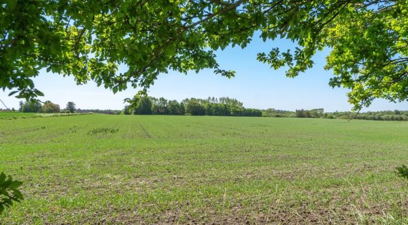 Photo of "Eliane" - 1.8km from the sea