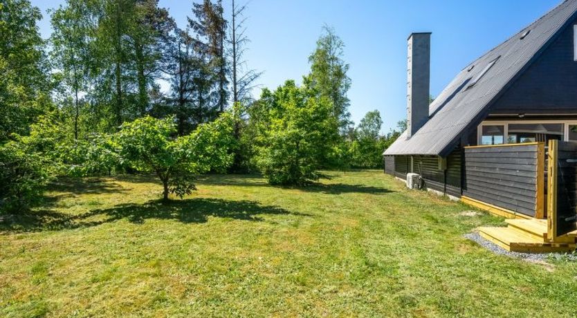 Photo of "Jace" - 900m from the sea