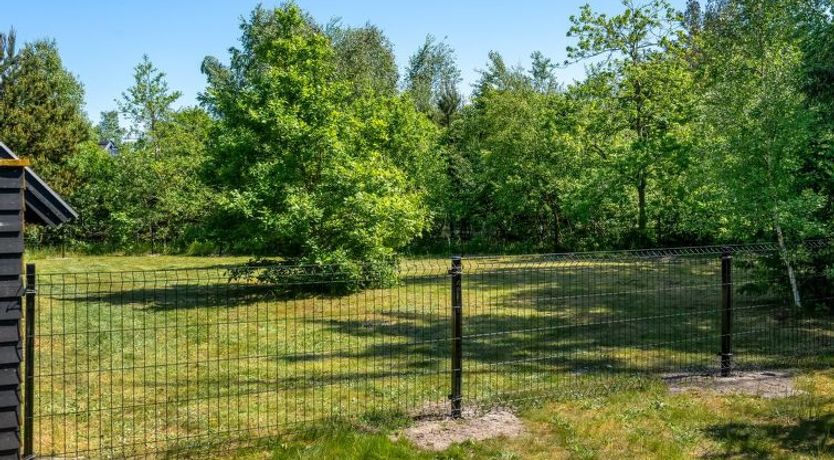 Photo of "Jace" - 900m from the sea