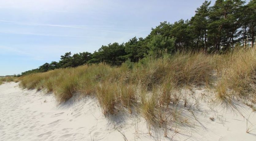 Photo of "Auvo" - 200m from the sea