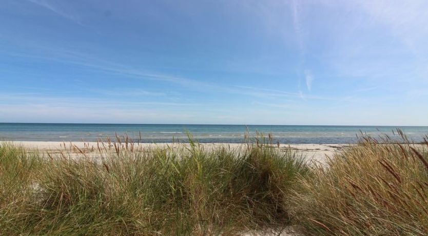 Photo of "Auvo" - 200m from the sea