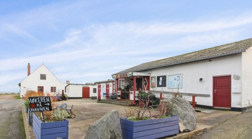 Photo of "Elvira" - 300m from the sea