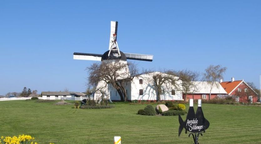 Photo of "Elvira" - 300m from the sea