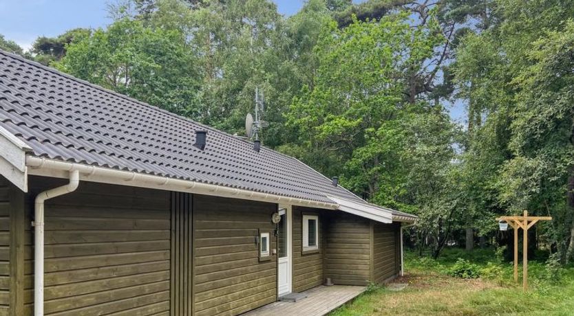 Photo of "Ellynor" - 600m from the sea