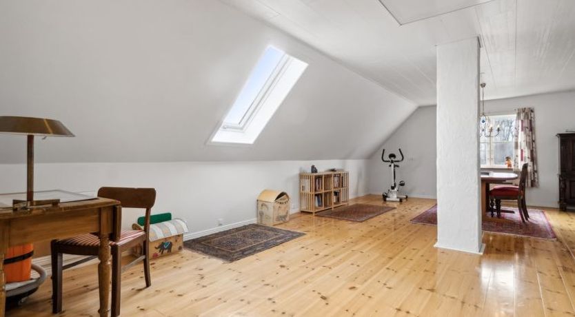 Photo of "Josie" - 700m from the sea