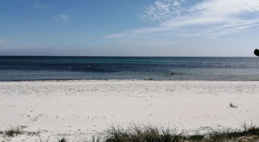 Photo of "Josie" - 700m from the sea