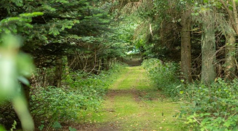 Photo of "Thana" - 8km from the sea