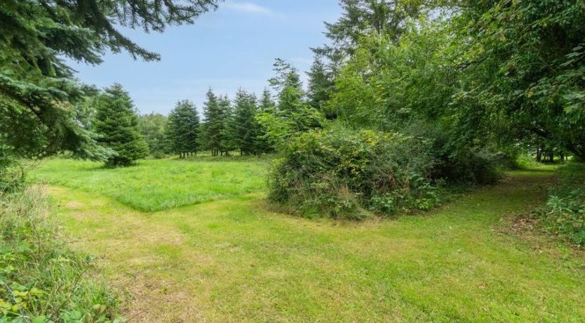 Photo of "Thana" - 8km from the sea