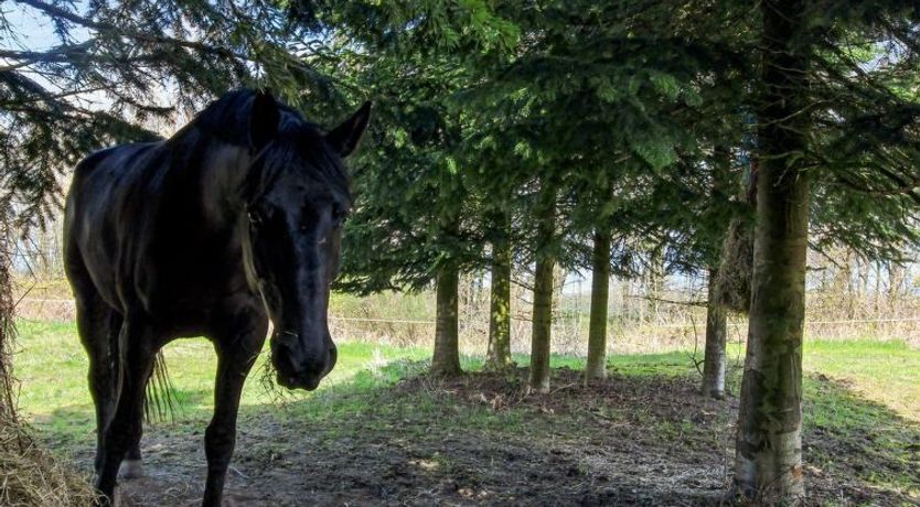 Photo of "Thana" - 8km from the sea