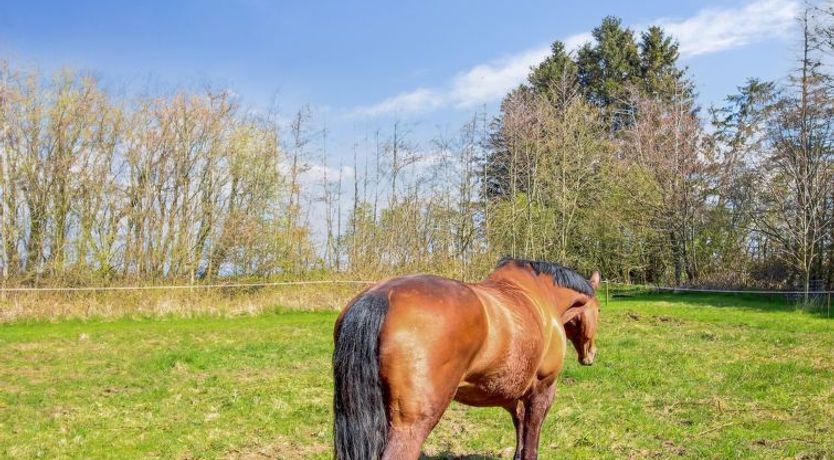 Photo of "Thana" - 8km from the sea