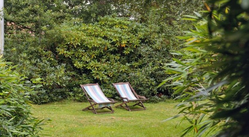 Photo of "Neela" - 300m from the sea