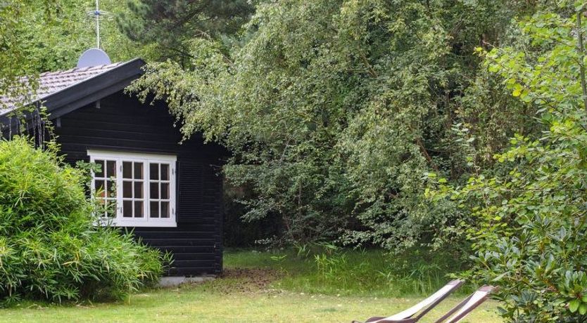 Photo of "Neela" - 300m from the sea