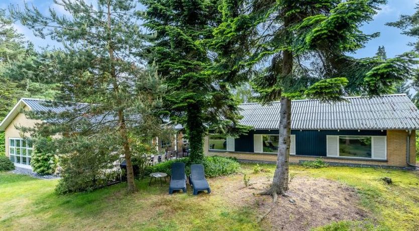 Photo of "Siggut" - 100m from the sea