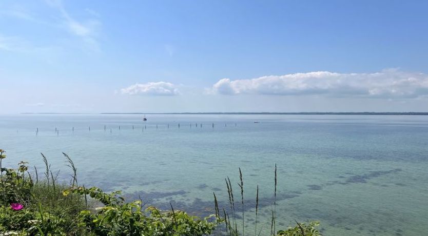 Photo of "Jovana" - 40m from the sea