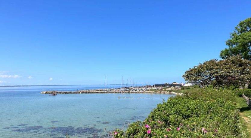 Photo of "Jovana" - 40m from the sea