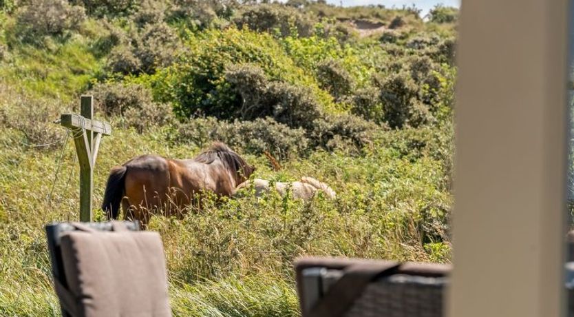 Photo of "Senija" - 334m from the sea