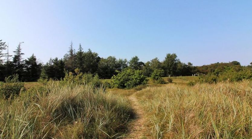 Photo of "Myrra" - 10m from the sea