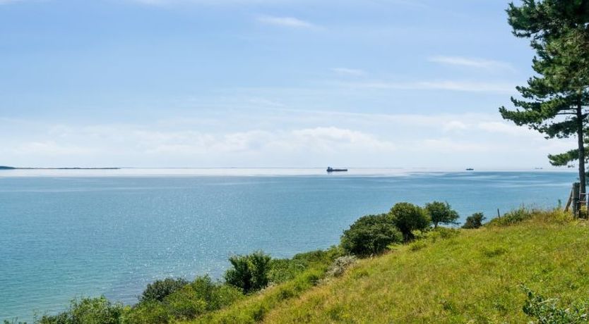 Photo of "Uschi" - 86m from the sea