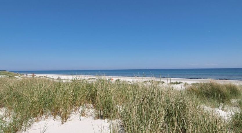 Photo of "Øthger" - 300m from the sea