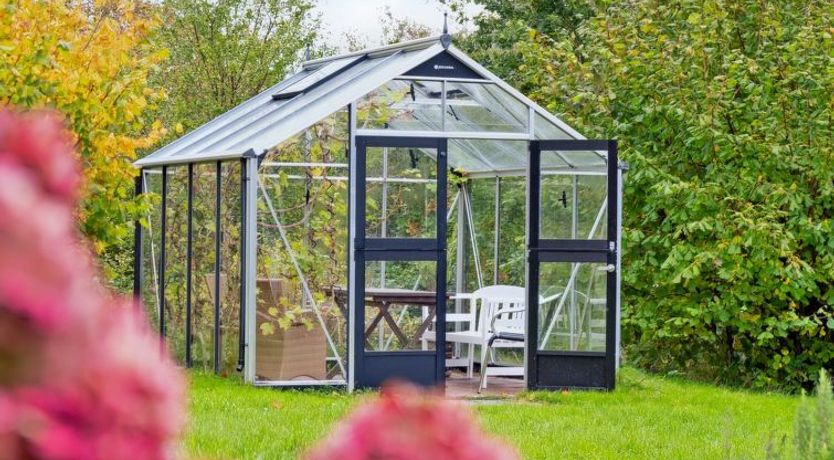 Photo of "Soili" - 750m from the sea