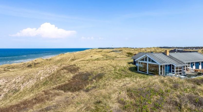 Photo of "Aster" - 150m from the sea